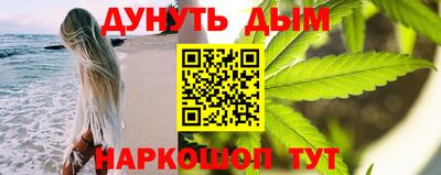 наркотики Кингисепп