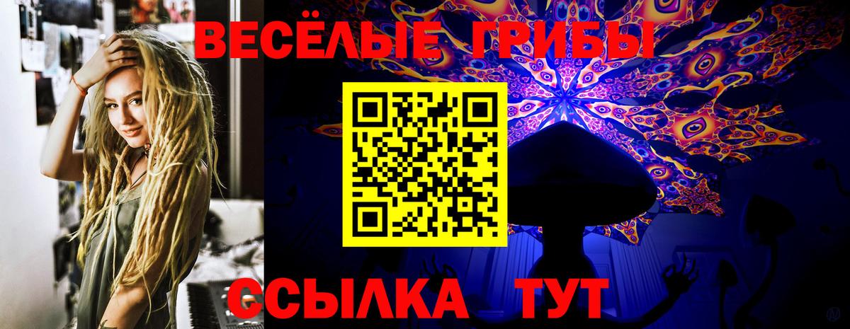 Галлюциногенные грибы Magic Shrooms  Вход с VPN  Заринск  Галлюциногенные грибы ЛСД 