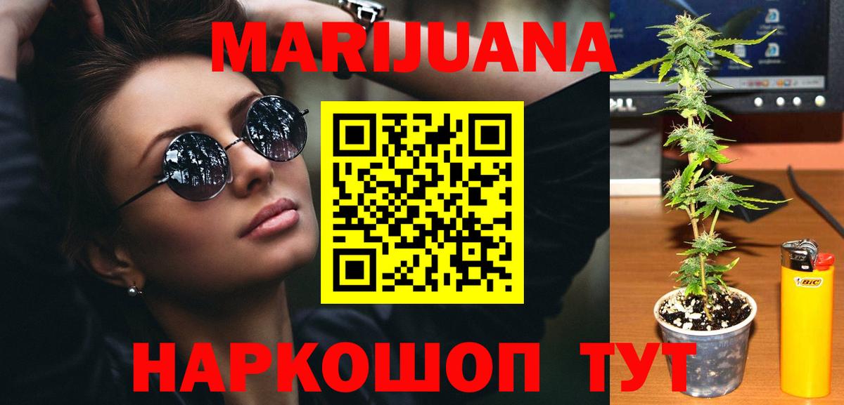 Канабис сатива Заринск